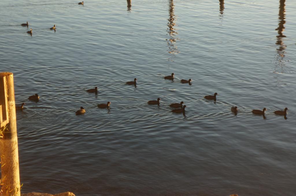 Lake Marina Inn Clearlake Oaks Exteriér fotografie